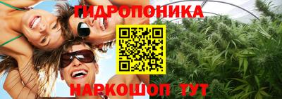 ГАЛЛЮЦИНОГЕННЫЕ ГРИБЫ Пенза