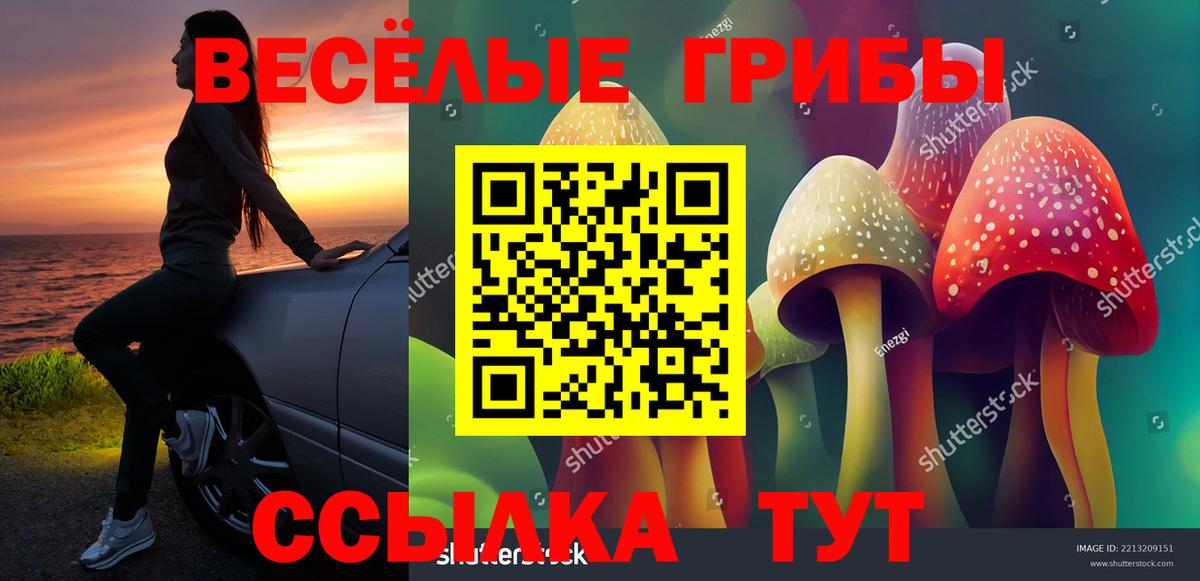 Галлюциногенные грибы Magic Shrooms Сальск