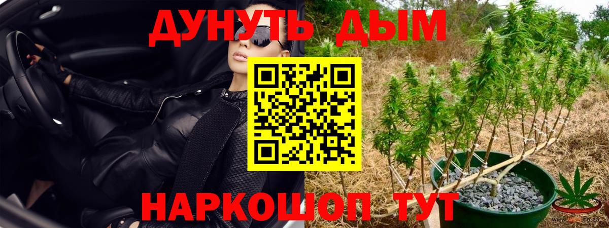 Шишки марихуана Bruce Banner  Канабис Amnesia  МАРИХУАНА семена  Вход с VPN  Сальск  Шишки марихуана план 